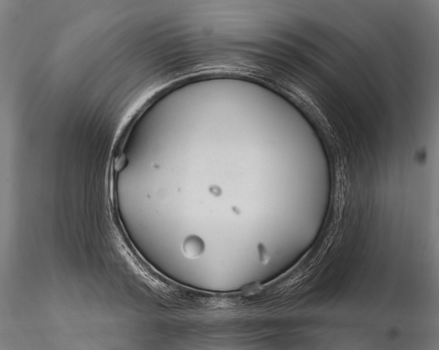 X0000115690796200912031441