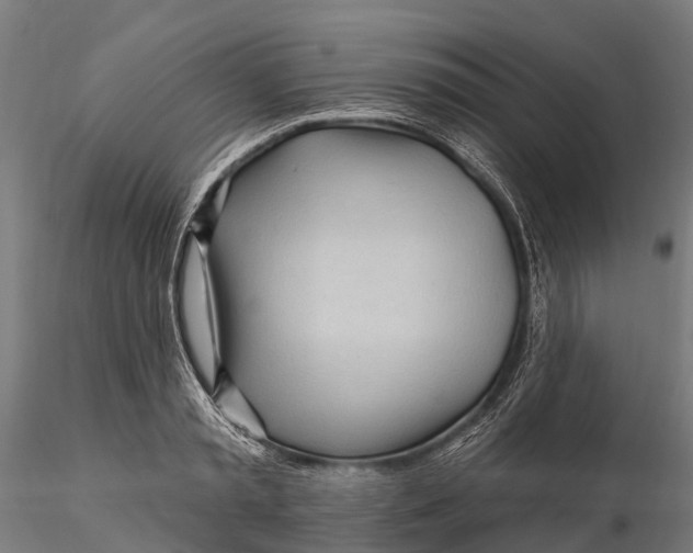 X0000115690797200912031441