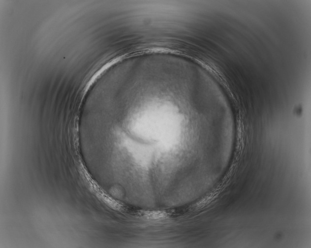 X0000115690798200912031441