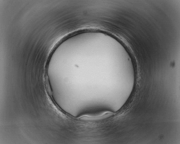 X0000115690799200912031441