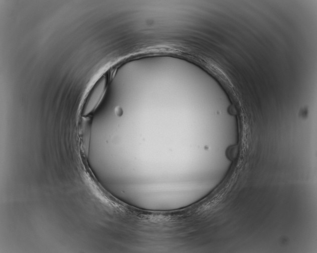 X0000115690800200912031441