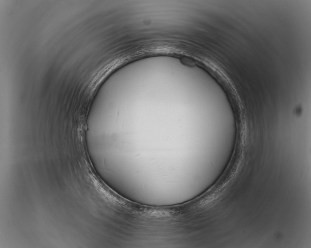 X0000115690801200912031441