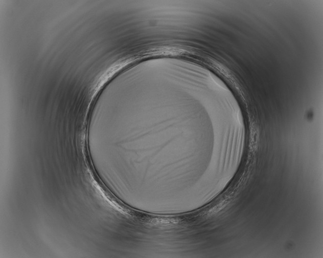 X0000115690802200912031441