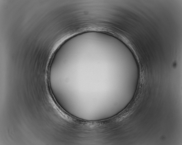 X0000115690803200912031441