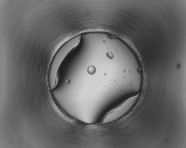 X0000115690805200912031441