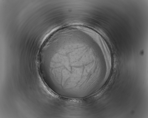 X0000115690806200912031441