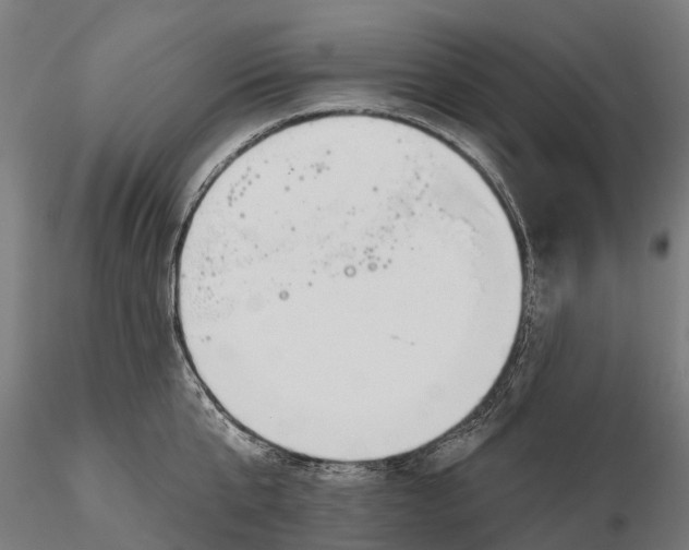 X0000115690807200912031441