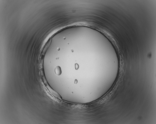 X0000115690808200912031441