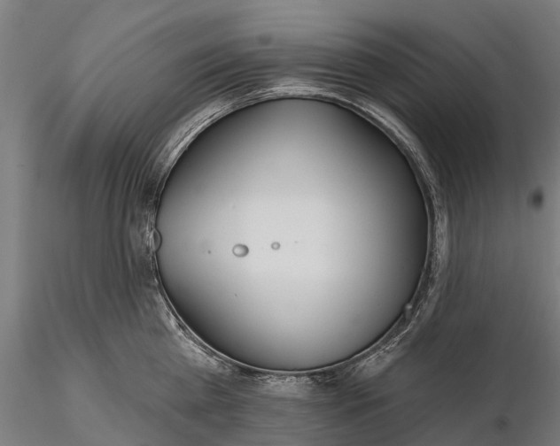 X0000115690809200912031441