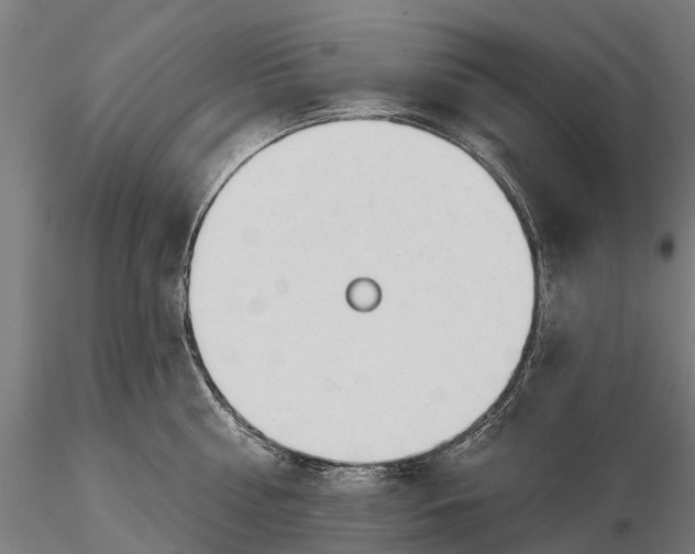 X0000115690810200912031441