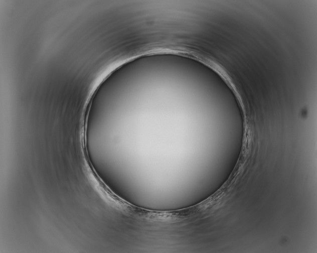 X0000115690811200912031441