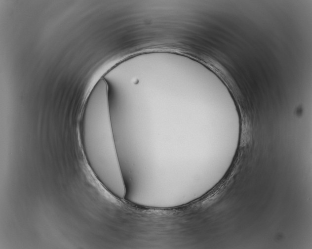 X0000115690812200912031441