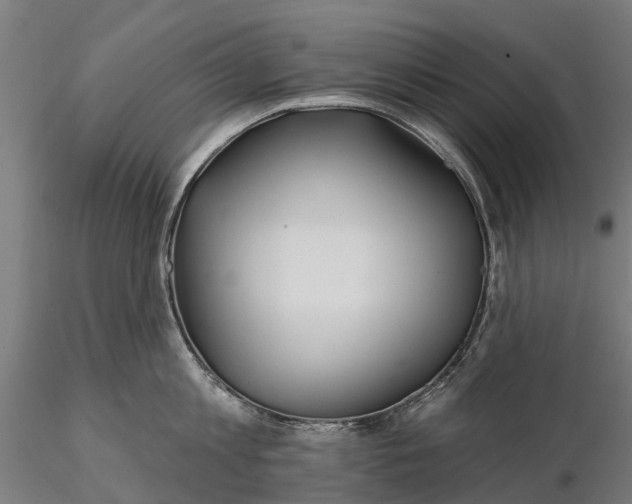 X0000115690813200912031441