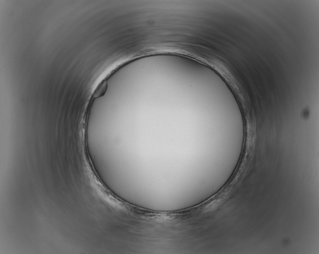 X0000115690814200912031441