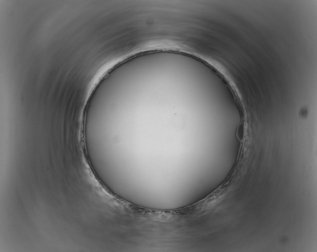 X0000115690815200912031441