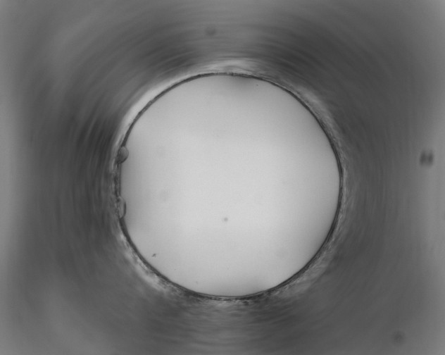 X0000115690816200912031441