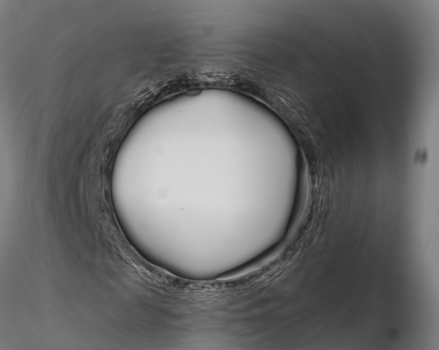 X0000115690817200912031440