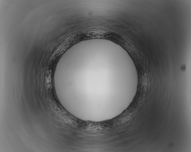 X0000115690818200912031440