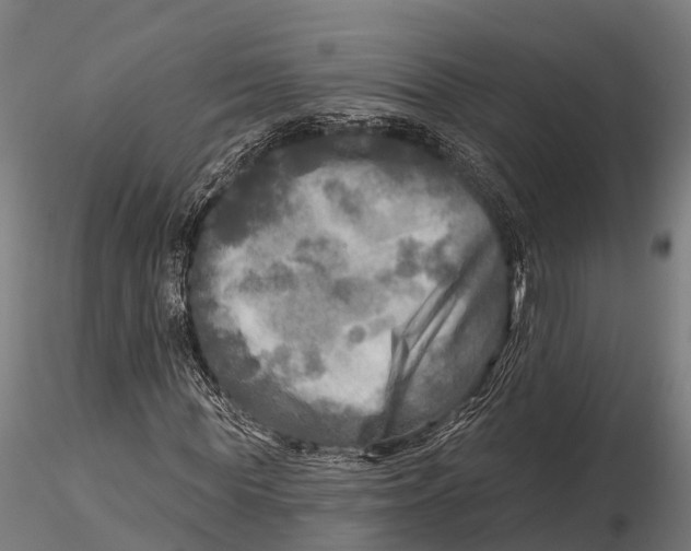 X0000115690819200912031440