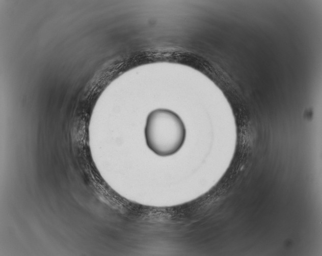 X0000115690820200912031440