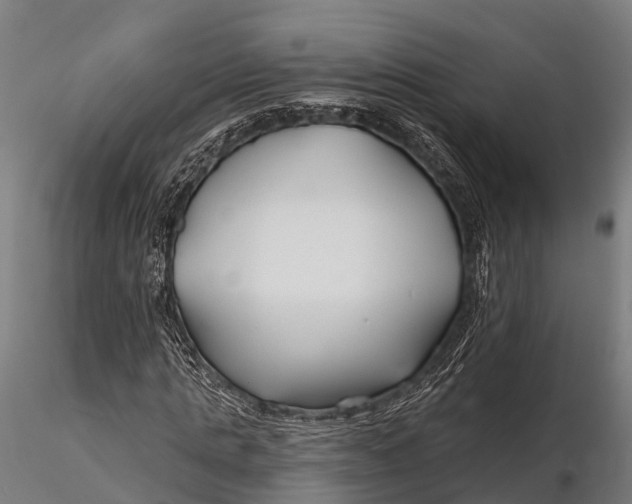 X0000115690821200912031440