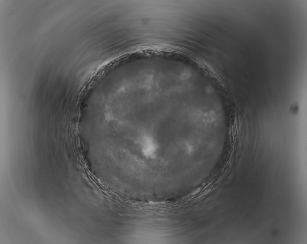 X0000115690822200912031440