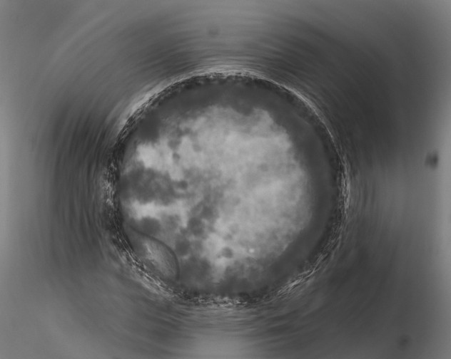 X0000115690823200912031440