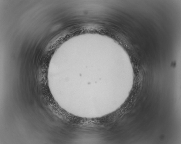 X0000115690824200912031440