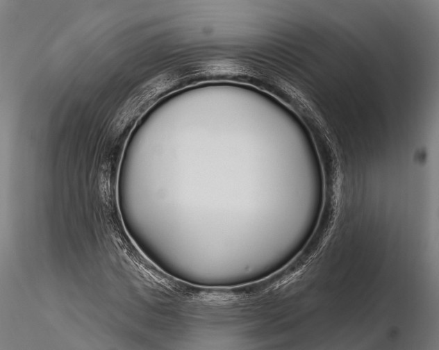 X0000115690825200912031440