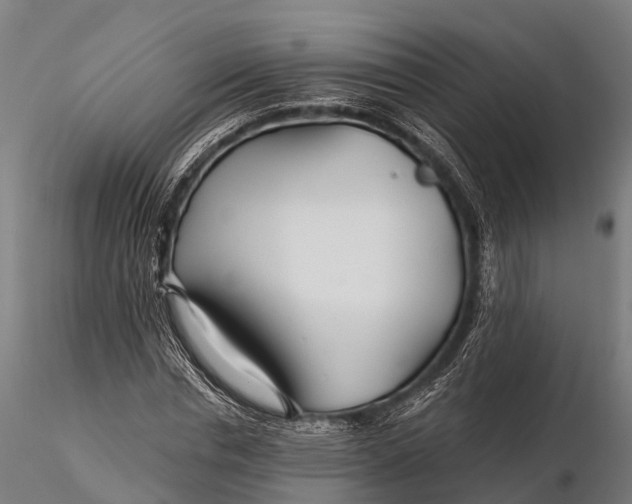 X0000115690826200912031440