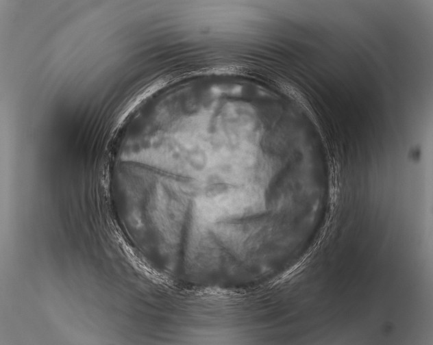 X0000115690827200912031440