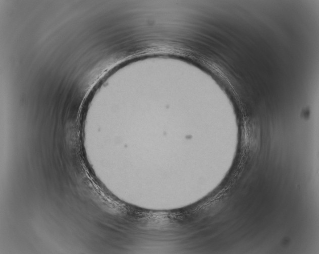 X0000115690828200912031440