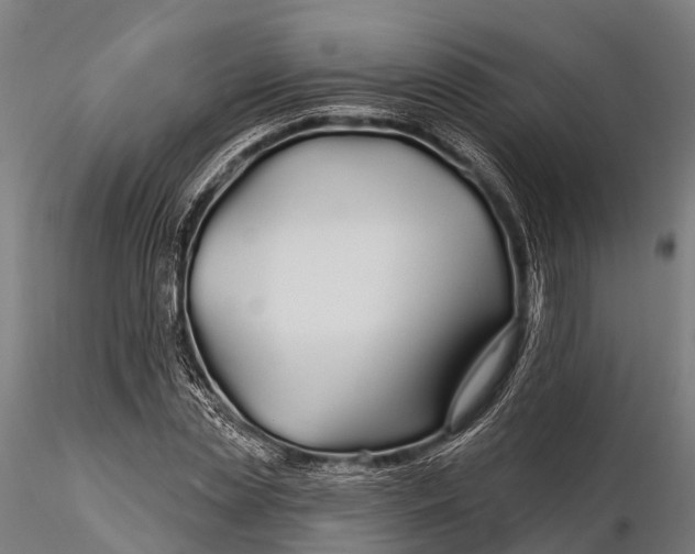 X0000115690829200912031440