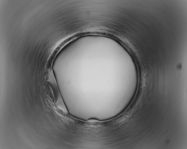 X0000115690830200912031440