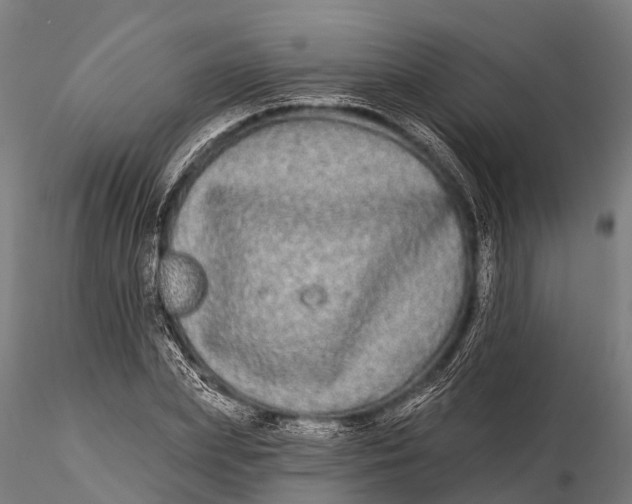 X0000115690831200912031440