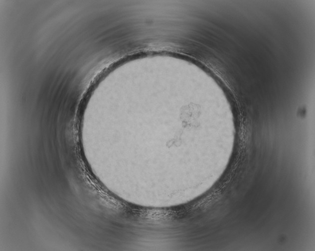 X0000115690832200912031440