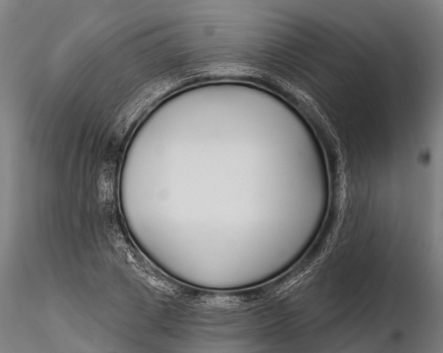 X0000115690833200912031440