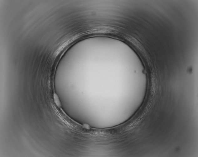 X0000115690834200912031441