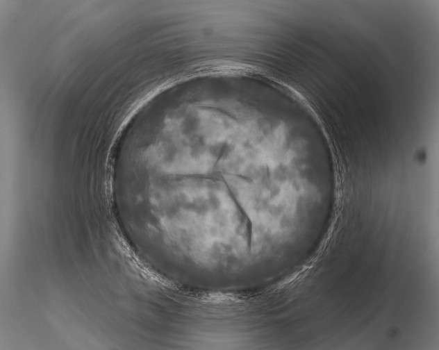 X0000115690835200912031441