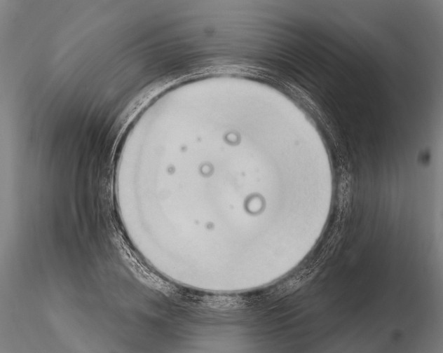 X0000115690836200912031441