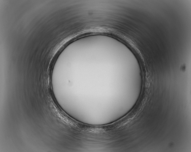 X0000115690837200912031441