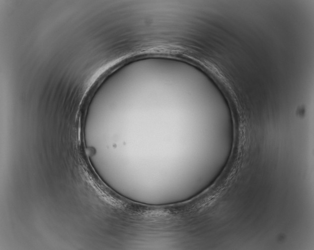 X0000115690838200912031441