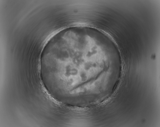 X0000115690839200912031441