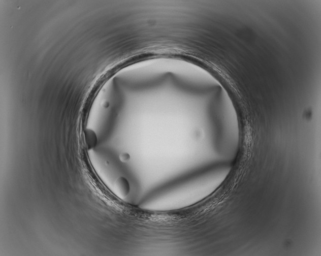 X0000115690840200912031441