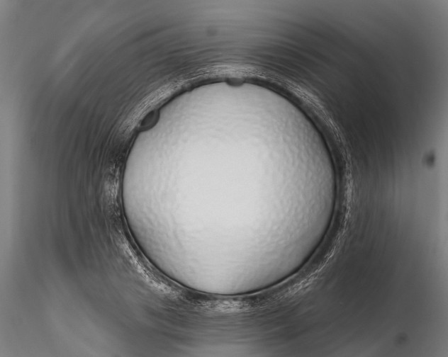 X0000115690841200912031441