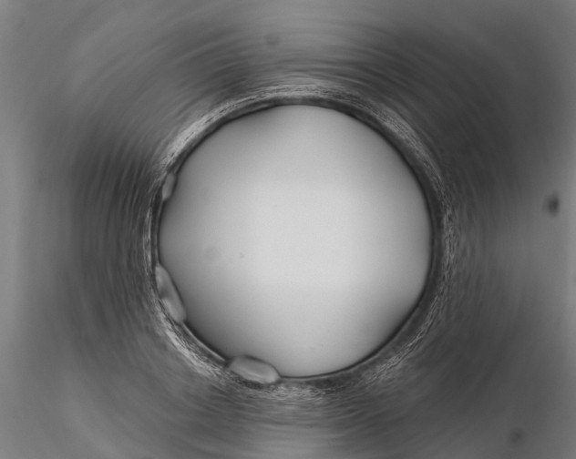 X0000115690842200912031441