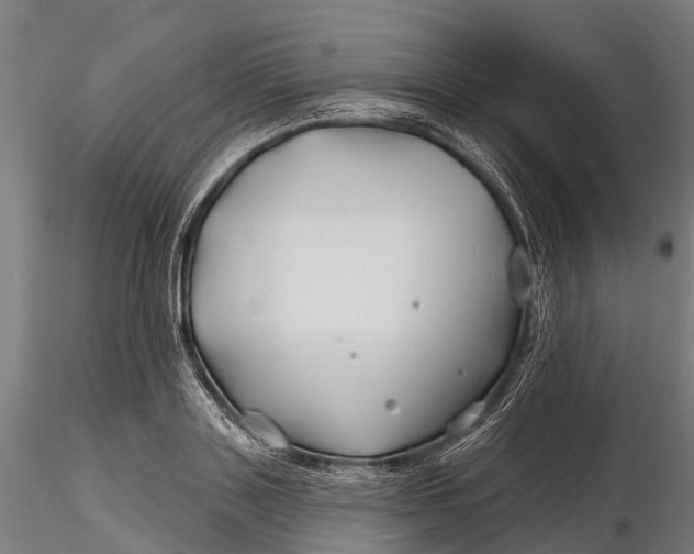 X0000115690843200912031441