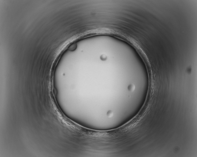 X0000115690845200912031441