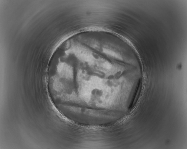 X0000115690847200912031441