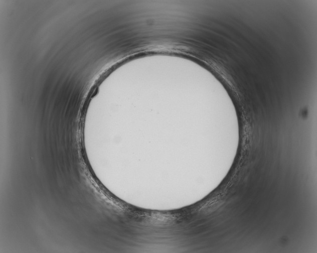 X0000115690848200912031441